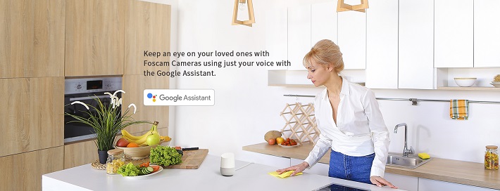 foscam google home hub
